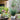 JUHAN Aveline Vintage Garden Ornament Extra-Large Flower Pot from JUHAN
