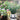 JUHAN Aveline Vintage Garden Ornament Extra-Large Flower Pot from JUHAN