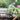 JUHAN Aveline Vintage Garden Ornament Extra-Large Flower Pot from JUHAN