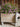 JUHAN Callidora Vibrant Ethnic Flowerpot from JUHAN