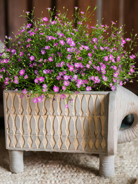 JUHAN Callidora Vibrant Ethnic Flowerpot from JUHAN