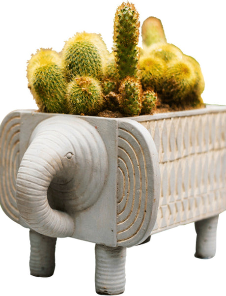 JUHAN Callidora Vibrant Ethnic Flowerpot from JUHAN
