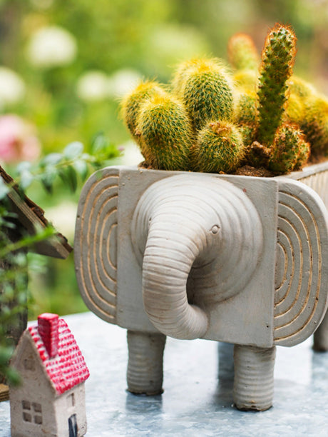 JUHAN Callidora Vibrant Ethnic Flowerpot from JUHAN