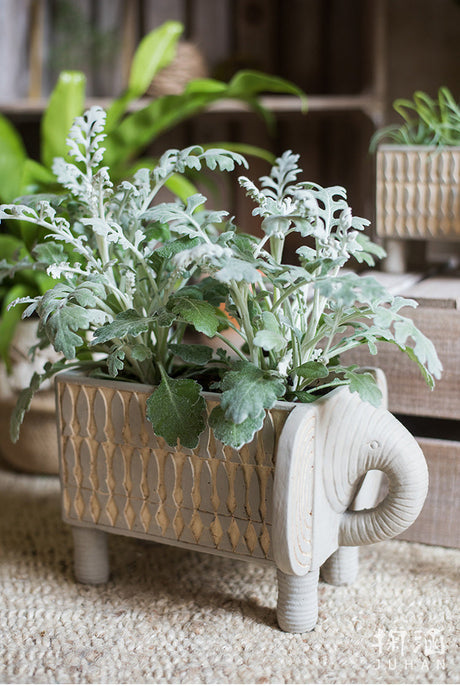 JUHAN Callidora Vibrant Ethnic Flowerpot from JUHAN