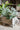 JUHAN Callidora Vibrant Ethnic Flowerpot from JUHAN