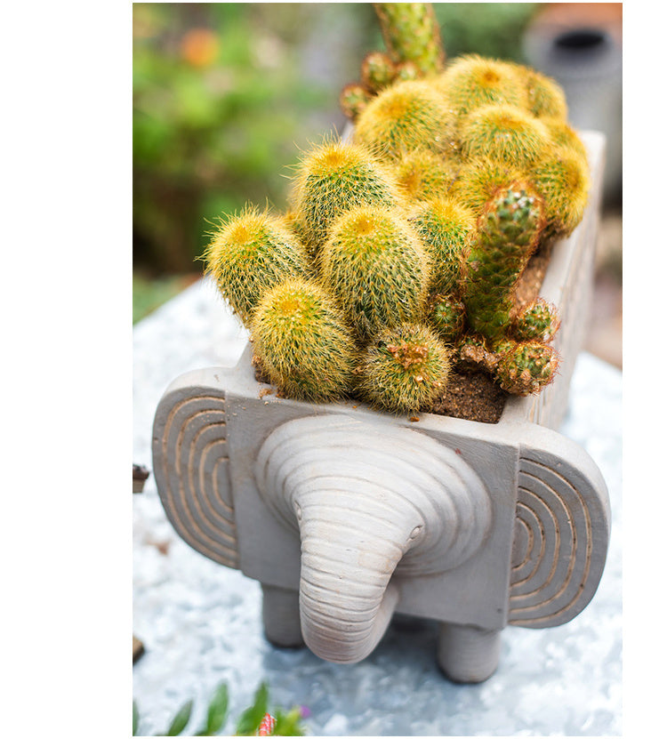 JUHAN Callidora Vibrant Ethnic Flowerpot from JUHAN