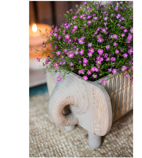 JUHAN Callidora Vibrant Ethnic Flowerpot from JUHAN