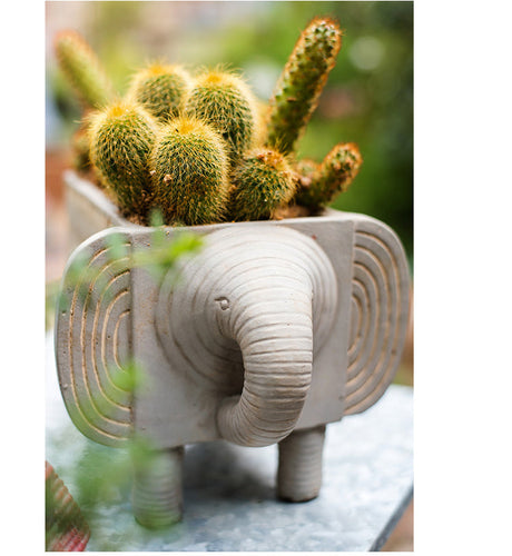 JUHAN Callidora Vibrant Ethnic Flowerpot from JUHAN