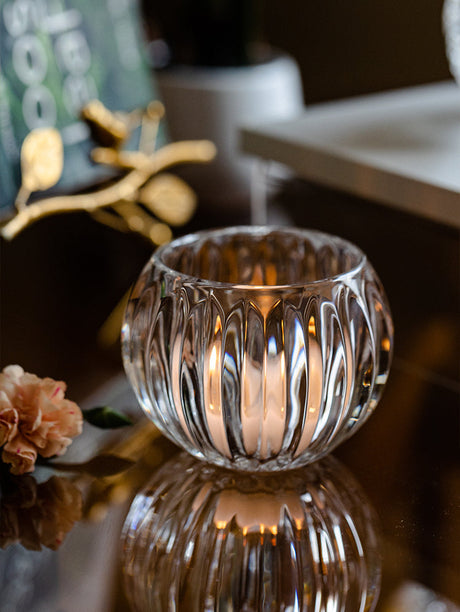 JUHAN Candelaria Glossy Transparent Round Flower Pot - Elegant Living Room Decoration from JUHAN
