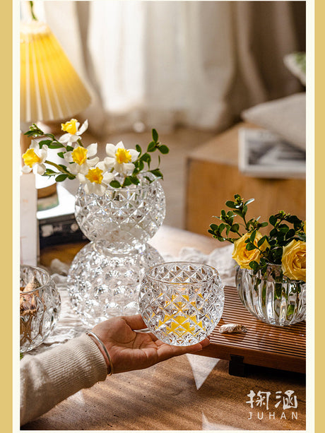 JUHAN Candelaria Glossy Transparent Round Flower Pot - Elegant Living Room Decoration from JUHAN
