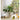 JUHAN Candelaria Glossy Transparent Round Flower Pot - Elegant Living Room Decoration from JUHAN