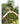 JUHAN Elowen Artistic Wooden Pendant Suspension Decor from JUHAN
