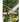 JUHAN Elowen Artistic Wooden Pendant Suspension Decor from JUHAN