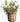 JUHAN Elowen Chic Handheld Flower Pot Storage Basket from JUHAN