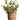 JUHAN Elowen Chic Handheld Flower Pot Storage Basket from JUHAN