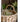 JUHAN Elowen Chic Handheld Flower Pot Storage Basket from JUHAN