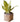 JUHAN Elowen Chic Woven Flowerpot Jewelry from JUHAN