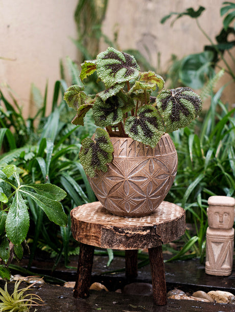 JUHAN Elowen Elegant Retro Flowerpot Creative Plant Lamp from JUHAN