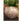 JUHAN Elowen Elegant Retro Flowerpot Creative Plant Lamp from JUHAN