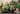 JUHAN Elowen Elegant Retro Flowerpot Creative Plant Lamp from JUHAN