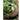 JUHAN Elowen Elegant Retro Flowerpot Creative Plant Lamp from JUHAN
