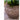 JUHAN Elowen Elegant Retro Flowerpot Creative Plant Lamp from JUHAN
