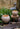 JUHAN Elowen Elegant Retro Flowerpot Creative Plant Lamp from JUHAN