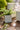 JUHAN Elowen Modern Extra Large Flower Pot Jewelry from JUHAN