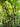 JUHAN Elowen Versatile Climbing Tube Decor Fixture from JUHAN