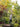 JUHAN Elowen Versatile Climbing Tube Decor Fixture from JUHAN