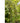 JUHAN Elowen Versatile Climbing Tube Decor Fixture from JUHAN