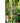 JUHAN Elowen Versatile Climbing Tube Decor Fixture from JUHAN