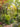 JUHAN Elowen Versatile Climbing Tube Decor Fixture from JUHAN