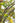 JUHAN Elowen Versatile Climbing Tube Decor Fixture from JUHAN