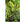 JUHAN Elowen Versatile Climbing Tube Decor Fixture from JUHAN