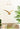JUHAN Esperanza Artistic Wooden Flying Bird Decor from JUHAN