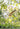 JUHAN Esperanza Artistic Wooden Flying Bird Decor from JUHAN