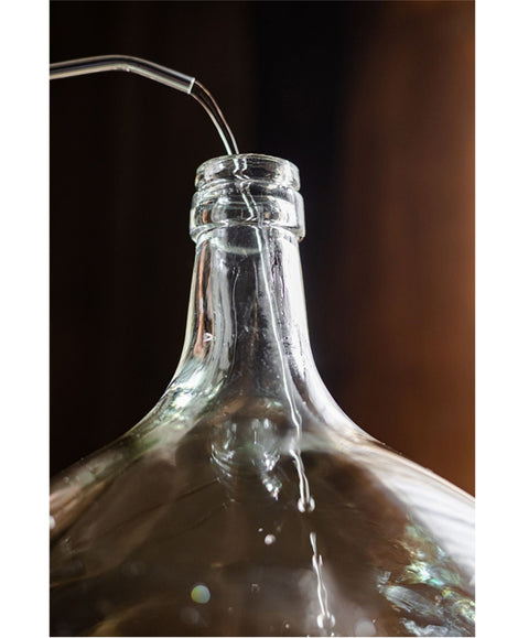 JUHAN Isabella Glossy Transparent Bottle Advanced Jewelry High-Quality Style from JUHAN