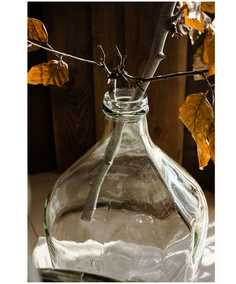 JUHAN Isabella Glossy Transparent Bottle Advanced Jewelry High-Quality Style from JUHAN