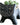 JUHAN Isadora Elegant Decorative Flowerpot Storage System from JUHAN