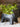 JUHAN Isadora Elegant Decorative Flowerpot Storage System from JUHAN