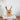 JUHAN Isadora Elegant Natural Wood Pencil Holder from JUHAN