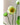 JUHAN Isadora Lush Handmade Green Plant Decorative Ornament from JUHAN