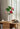 JUHAN Isadora Lush Handmade Green Plant Decorative Ornament from JUHAN