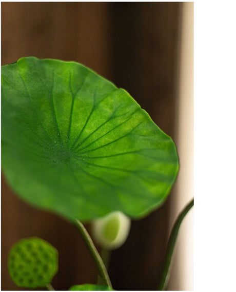 JUHAN Isadora Lush Handmade Green Plant Decorative Ornament from JUHAN