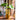 JUHAN Isadora Lush Handmade Green Plant Decorative Ornament from JUHAN