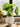 JUHAN Isadora Lush Handmade Green Plant Decorative Ornament from JUHAN