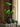 JUHAN Isadora Lush Handmade Green Plant Decorative Ornament from JUHAN