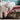 JUHAN Isidora Pastel Color Cotton Casual Blanket from JUHAN