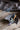JUHAN Isidore Rustic Cast Iron Flying Bird Garden Candlestick from JUHAN